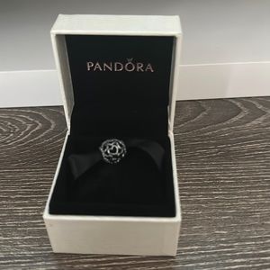 Pandora charm